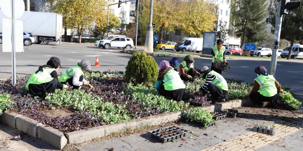 Diyarbakır Büyükşehir Belediyesi, 1 milyon 152 bin bitki dikti