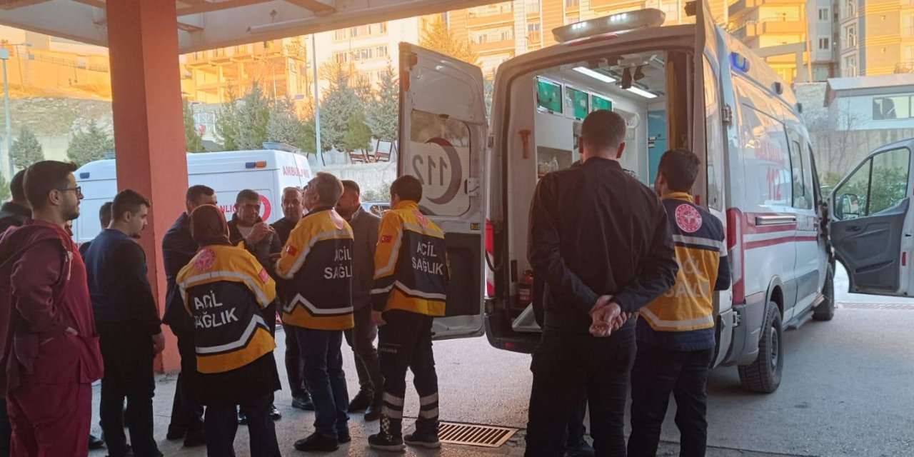 Başkanı Anmal,"hasta nakli gecikmesi yöneticilerin işgüzarlığından kaynaklanıyor"