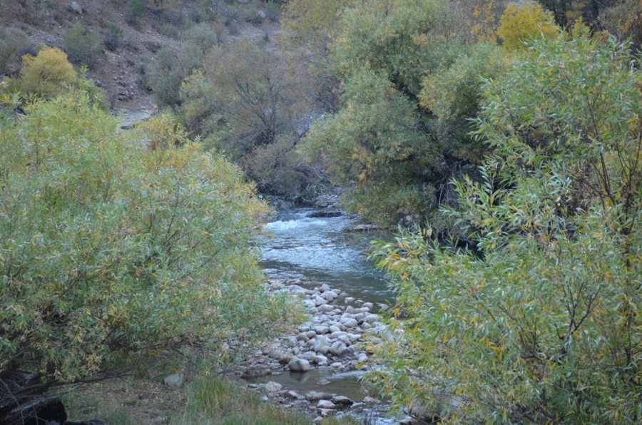 Habur Çayı etrafında ağaçların renk cümbüşü kartpostallık görüntüler oluşturdu