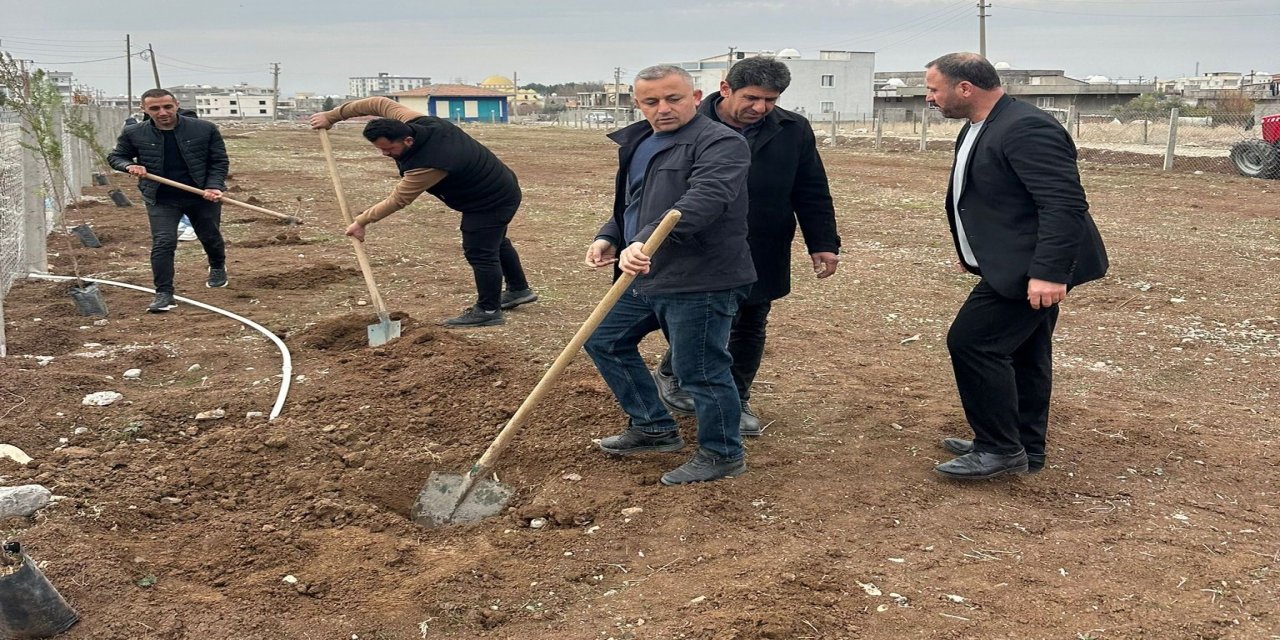 Silopi'de gönüllüler park, bahçe ve kaldırımları yeşillendiriyor