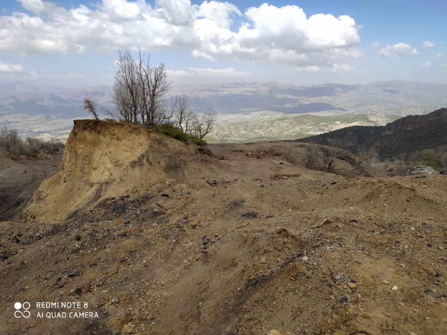 ŞIRNAK’TA DOĞA KATLİAMI