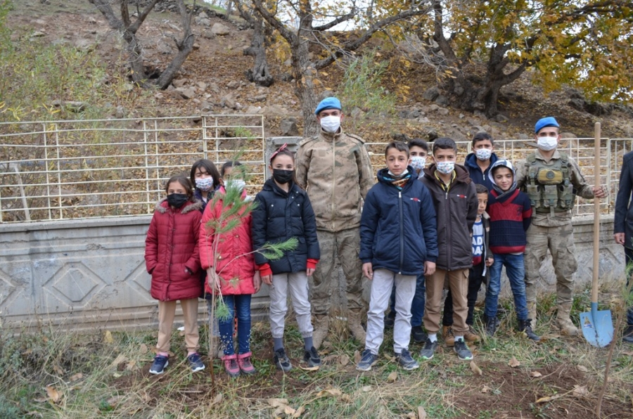 Kato Dağı eteklerindeki okullar yeşilleniyor