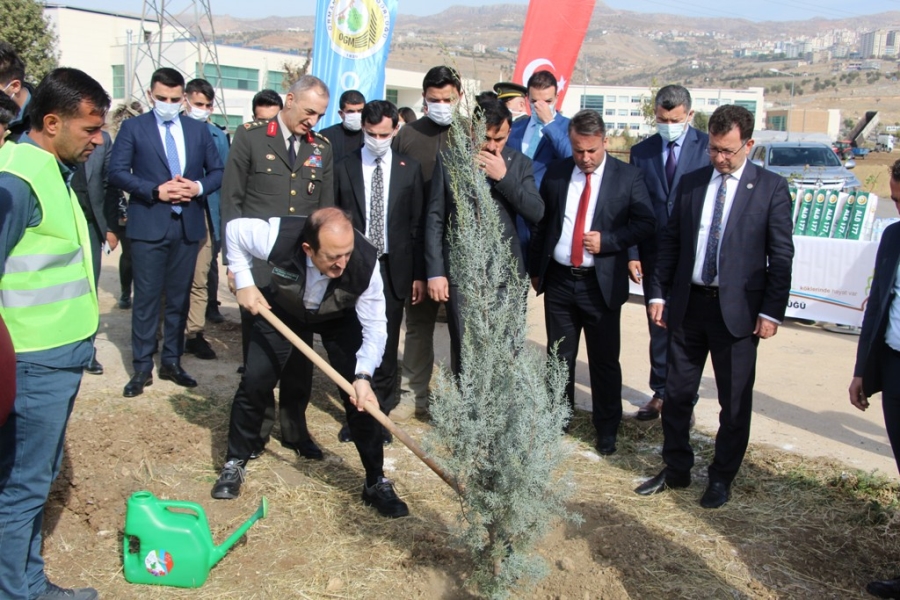 ŞIRNAK'TA 56 BİN FİDAN TOPRAKLA BULUŞTU