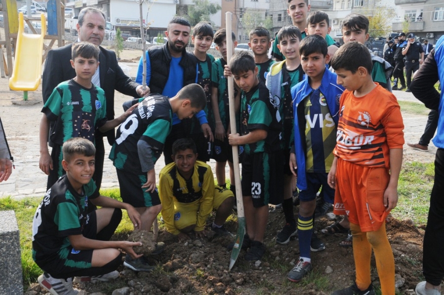 Milli Ağaçlandırma Gününde Tüm Cizre Tek Yürek Oldu