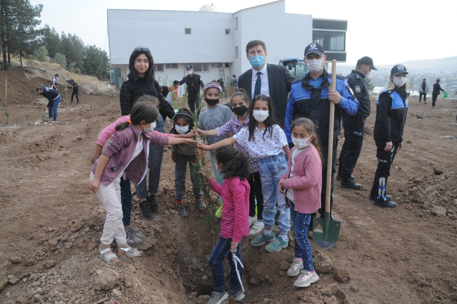 Cizre’de Minik Öğrenciler Emniyetin Bahçesine Fidan Dikti