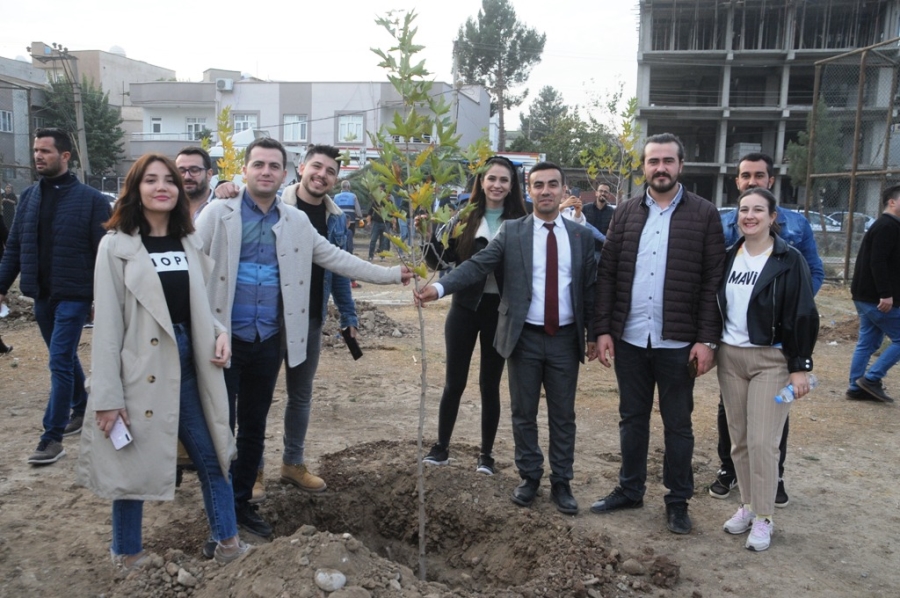 EĞİTİMCİLER, ÖĞRETMENLER GÜNÜNDE AĞAÇLARI TOPRAKLA BULUŞTURDU