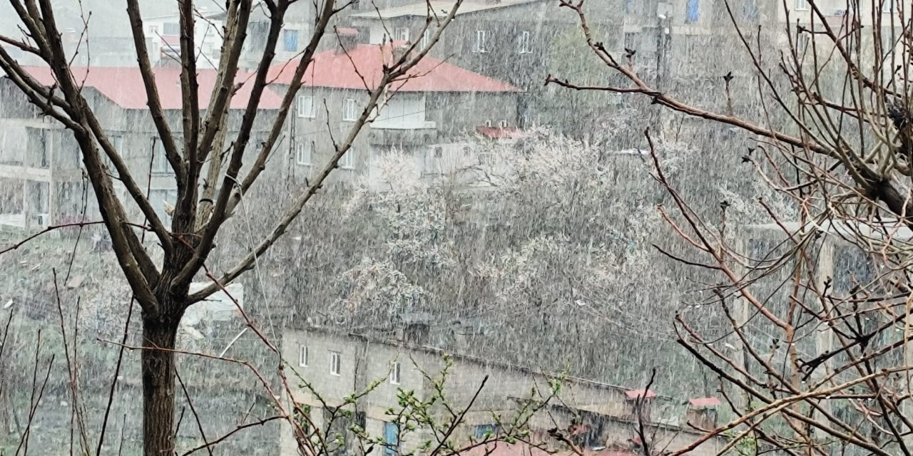 Hakkari'de Nisan ayında kar yağışı etkili oldu