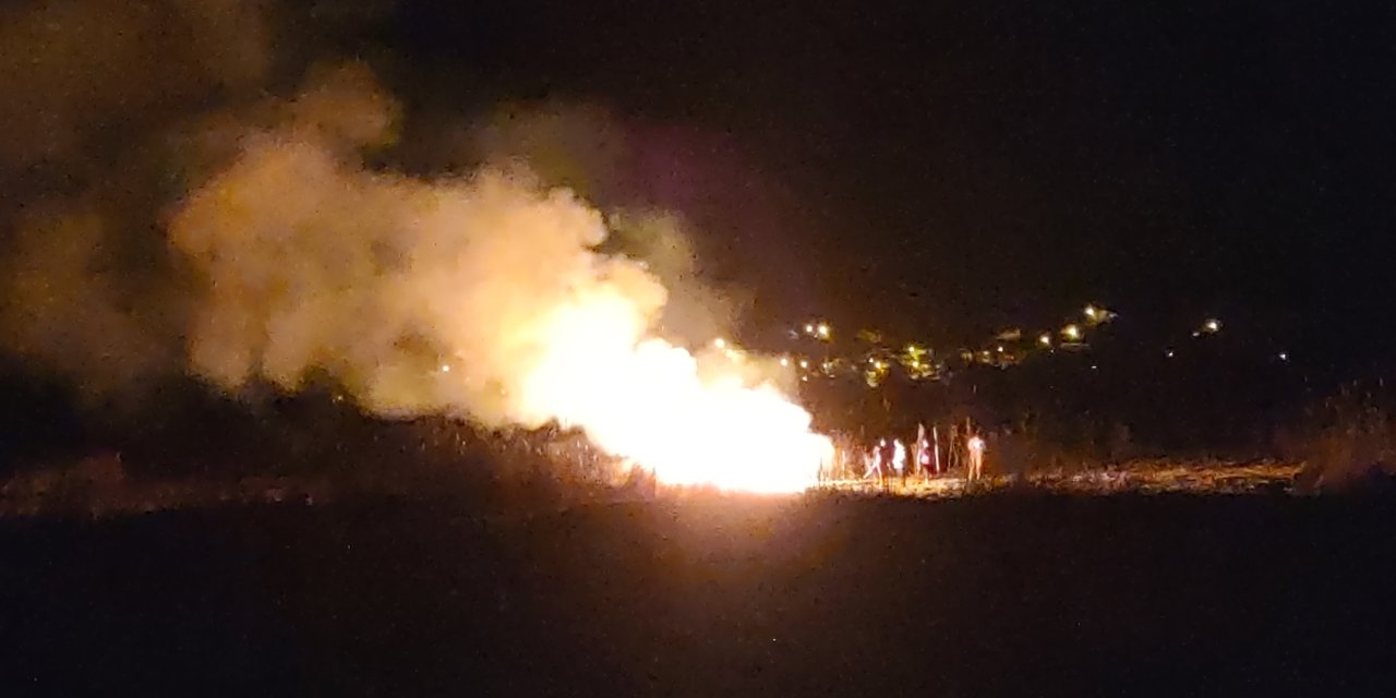 Van'da birçok kuş türüne ev sahipliği yapan sazlık alan yandı