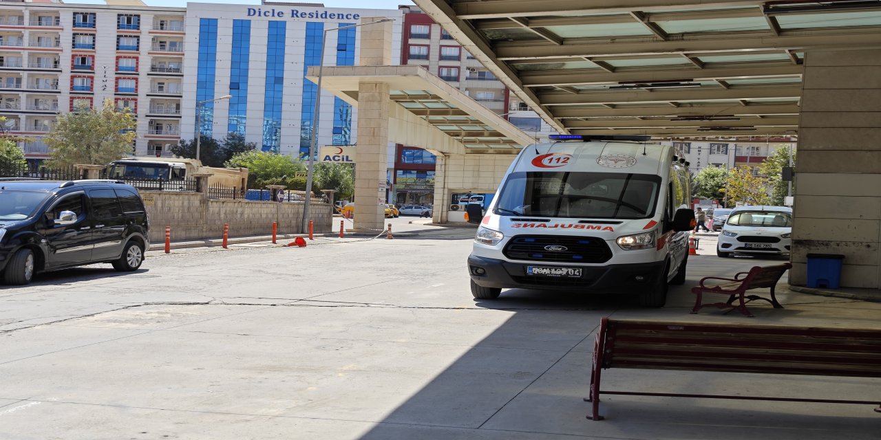 Siirt’te atın ısırdığı çocuk ağır yaralandı