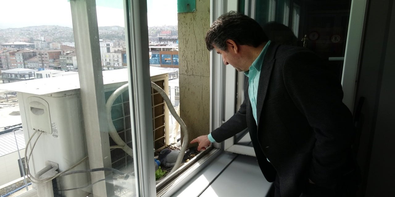 Güvercinler için klimasını kapattı