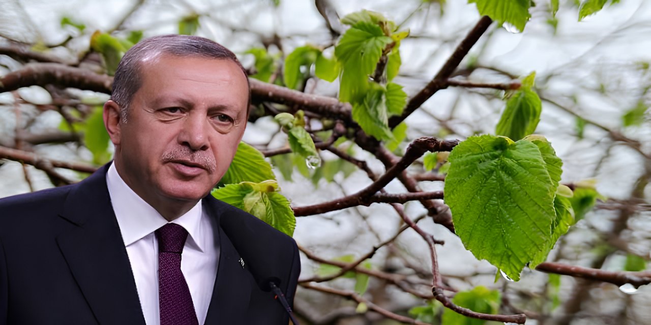 Cumhurbaşkanı Erdoğan'dan Çiftçiye Müjde: Don Zararları Devlet Tarafından Karşılanacak!