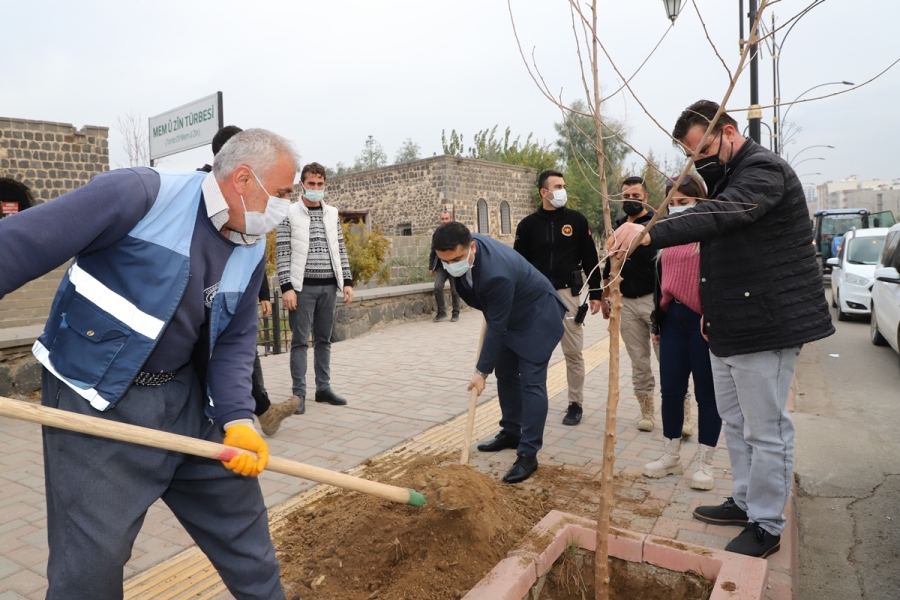 Cizre Kaymakamı Tunç,Ağaçlandırma çalışmalarına katıldı