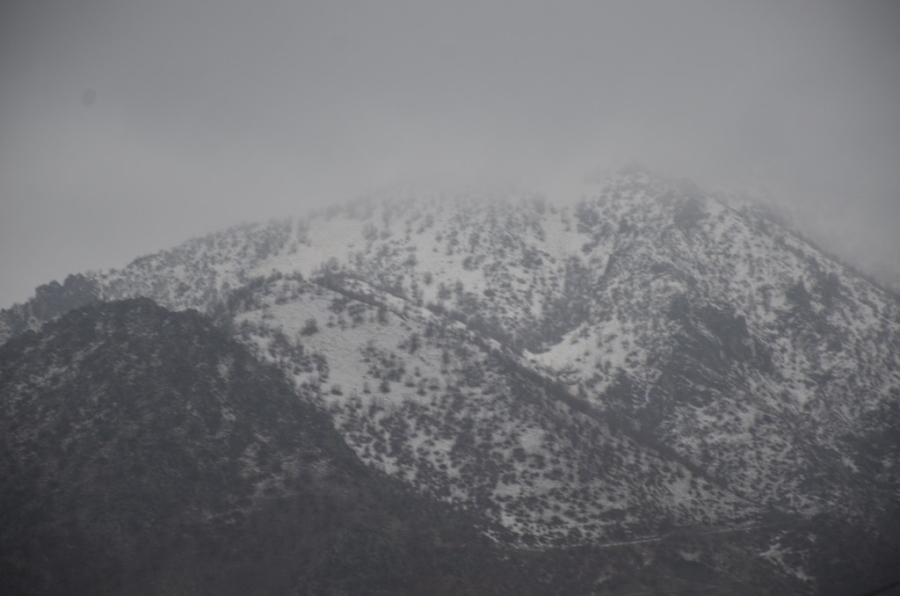 Şırnak’ta kar nedeniyle Tanin Geçidi ulaşıma kapandı