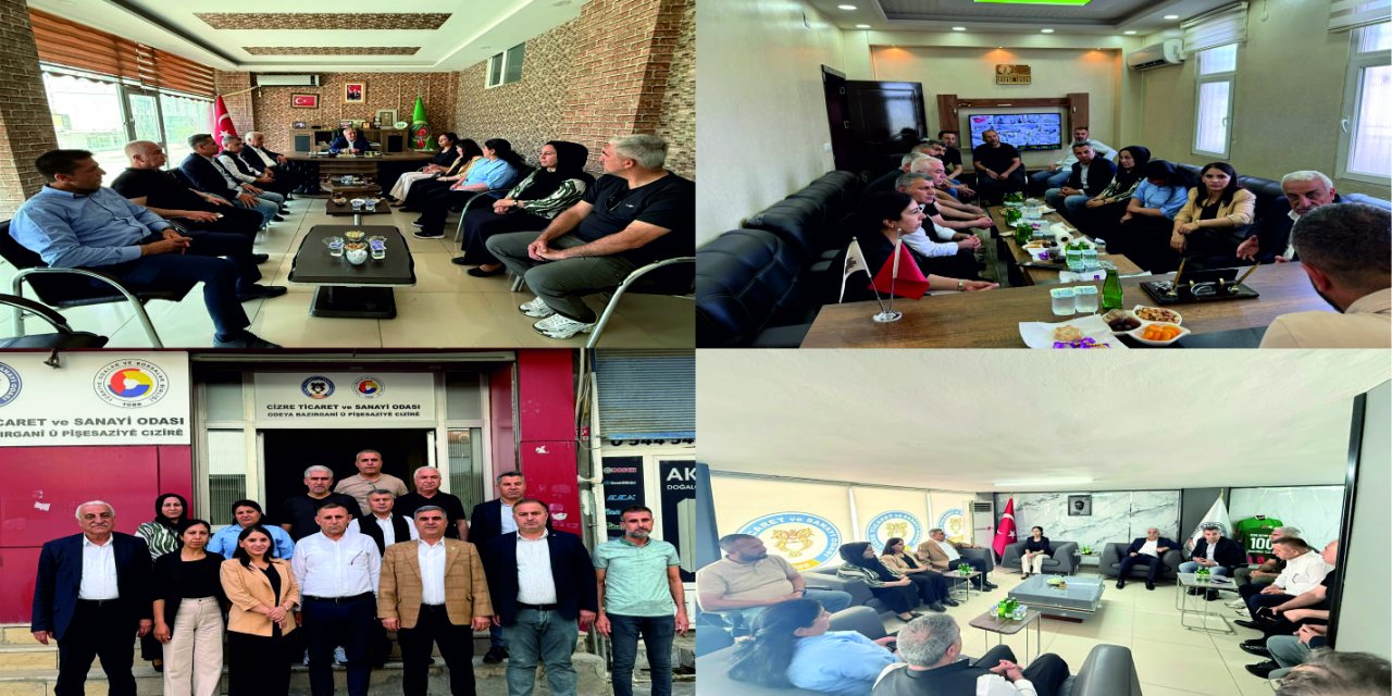 DEM Parti Heyetinden Cizre’deki STK’lara ziyaret