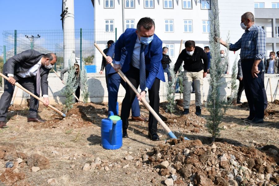 Uludere’de yakılan ormanlar yeniden hayat buluyor