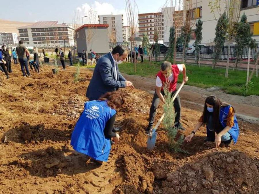 Şırnak'ta 68 bin fidan toprakla buluştu