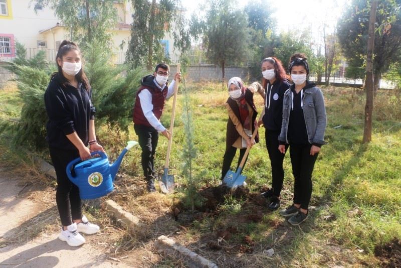 SİLOPİ'DE 5 BİN FİDAN TOPRAKLA BULUŞTURULDU