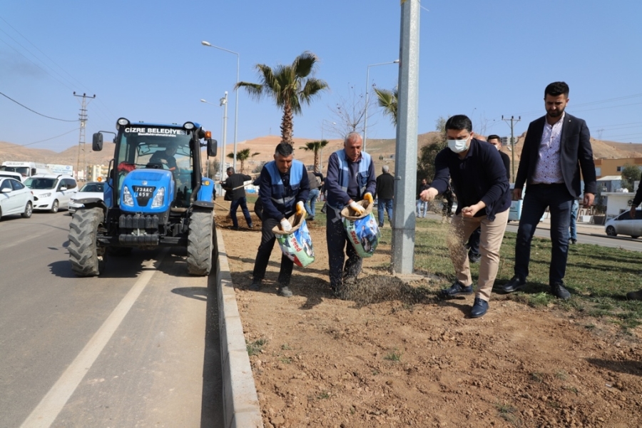 KAYMAKAM TUNÇ, YEŞİLLENDİRME ÇALIŞMALARINA KATILDI