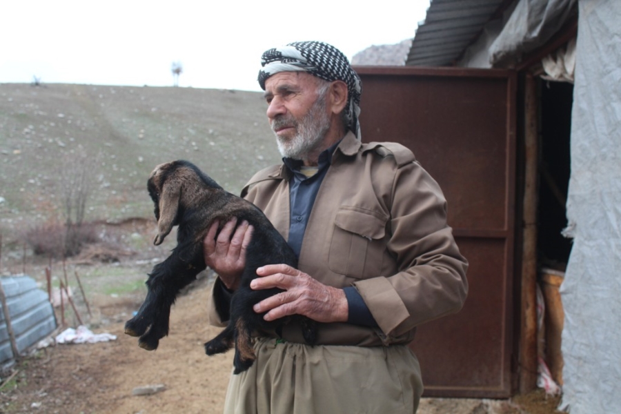 ARKA BACAKLARI KISA DOĞAN OĞLAĞA GÖZÜ GİBİ BAKIYOR