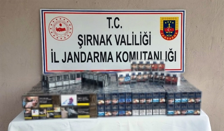 ŞIRNAK’TA KAÇAKÇILIK VE ASAYİŞ OPERASYONU: 69 GÖZALTI