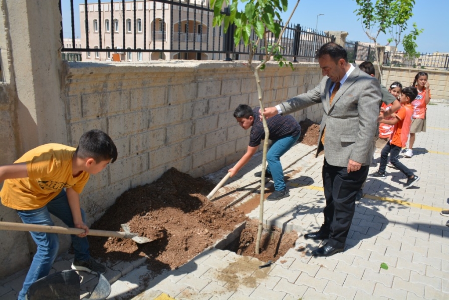 Silopi’de öğrenciler tiyatrodan kazandıkları parayla ağaç dikti