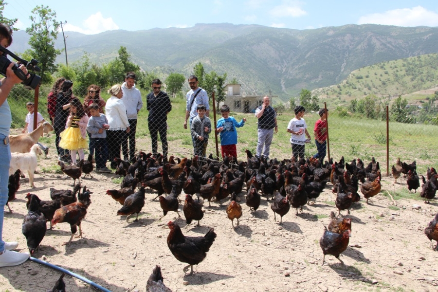 ŞIRNAK’TA FAALİYETE GİREN PROJELERLE AİLELERİN EKONOMİSİNE KATKI SAĞLANIYOR