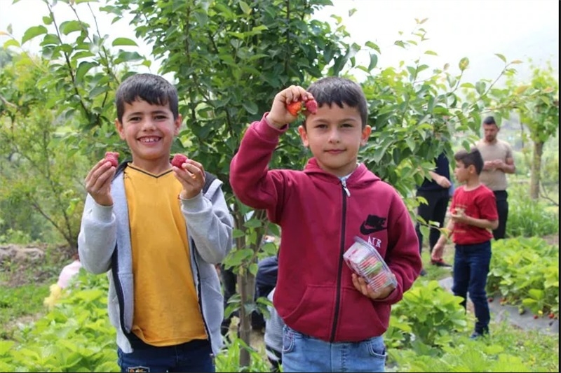 ULUDERE’DE HASAT ŞENLİĞİ YAPILDI