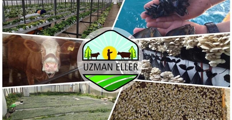 ŞIRNAK’TA UZMAN ELLER PROJESİ BAŞVURU SONUÇLARI BELLİ OLDU