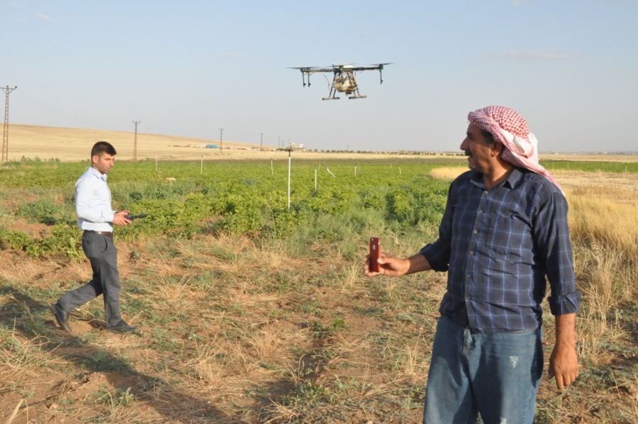 Mardin Ovası'nda 20 bin dönüm arazi dron ile ilaçlandı: 2 milyon 800 bin liralık tasarruf