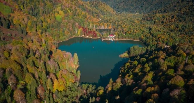 Artvin'de masalsı sonbahar manzaraları