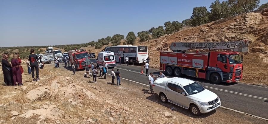 İdil’de Yolcu Otobüsü Otomobille çarpıştı:1 ölü,12 Yaralı