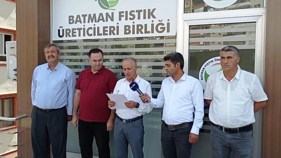 ŞIRNAK,BATMAN VE SİİRT’Lİ FISTIK ÜRETİCİLERİ VERİMDEN MEMNUN DEĞİL