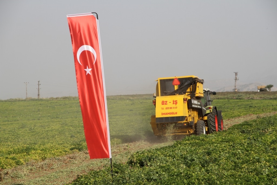 Şırnak’ta yerfıstığı hasadı şenlikle başladı  