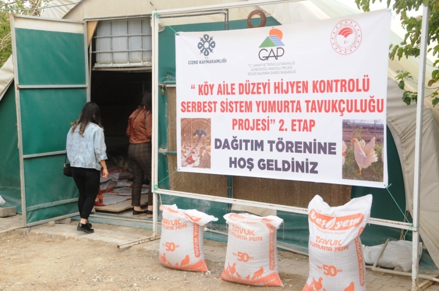 Cizre'de 10 Aileye 2 Bin Tavuk ve 24 Bin Ton Yem dağıtıldı