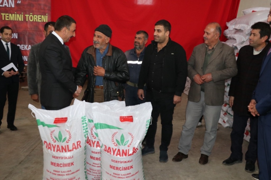 Siirt’te 523 çiftçiye 5 milyon lira değerinde 275 ton mercimek tohumu desteği verildi  