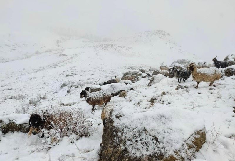 ŞIRNAK'TA DAĞLAR BEYAZA BÜRÜNDÜ