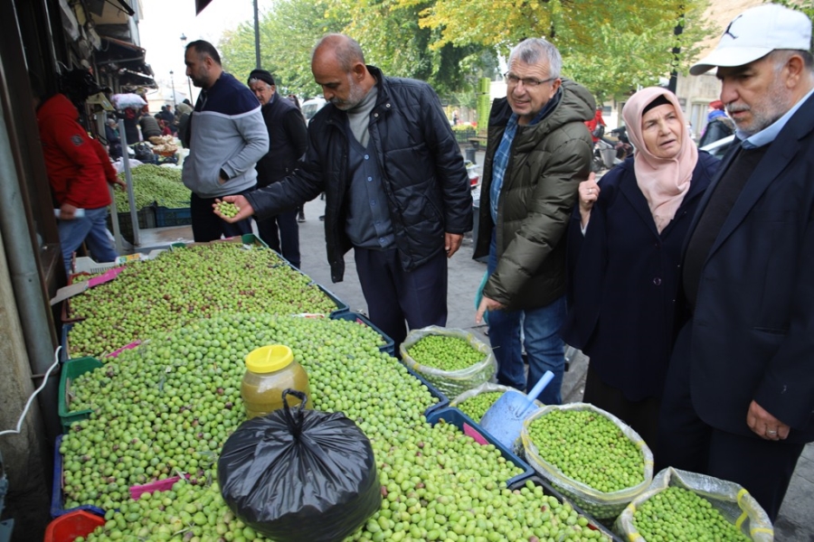 Gaziantep’te yeşil zeytin tezgaha indi  