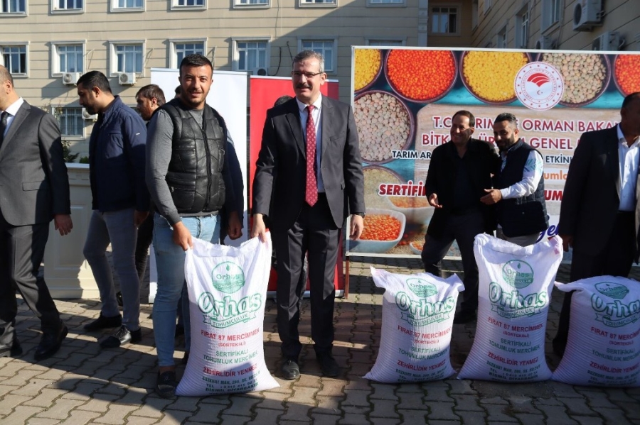 Çiftçilere yüzde 75 hibe destekli mercimek dağıtıldı  