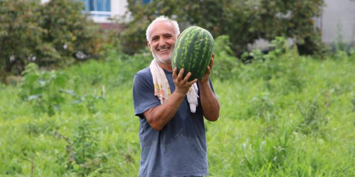 Geçtiğimiz yıllarda 350 tona kadar çıkan Yalıncak Karpuzu'nun üretimi bu yıl yaklaşık 50 tona kadar düştü