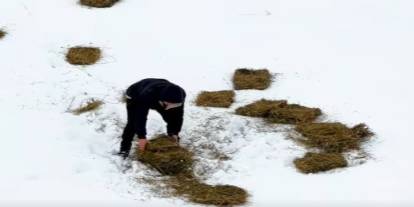 Doğu'da yaban hayvanları için doğaya yem bırakıldı