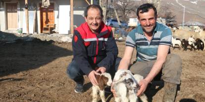 Devlet desteği Erzincanlı çiftçilere umut oldu