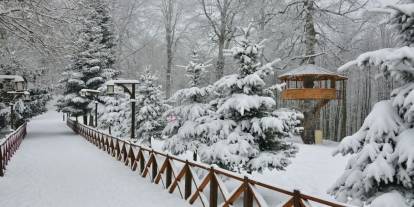 Ordu’nun 17 ilçesinde eğitime kar engeli