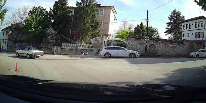 Başıboş köpeğin tavuğu alıp kaçtığı anlar kamerada