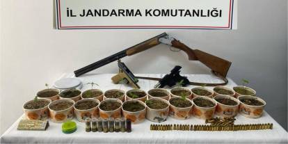Jandarmadan kenevir operasyonu