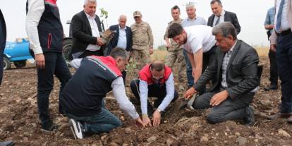 Kaymakam Sahip çıkıyor, Cizre Fıstıkçılık Merkezine dönüşüyor