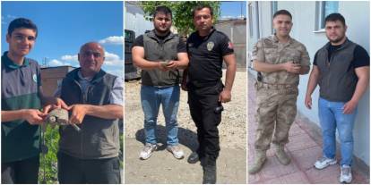 Yaralı Yaban Hayvanları Şırnak'ta Koruma Altında