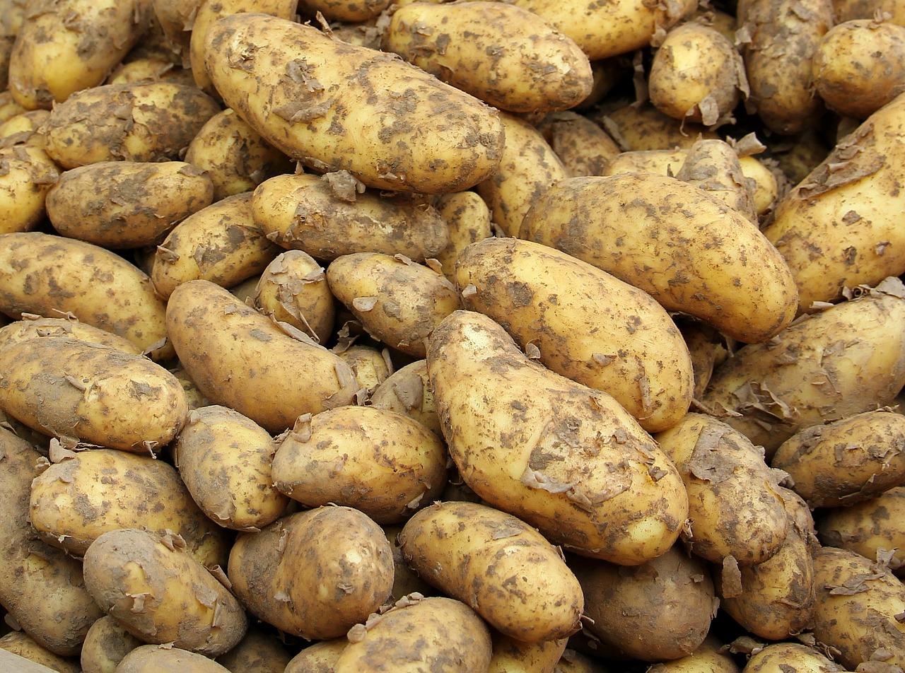 potato-1422580-1280.jpg