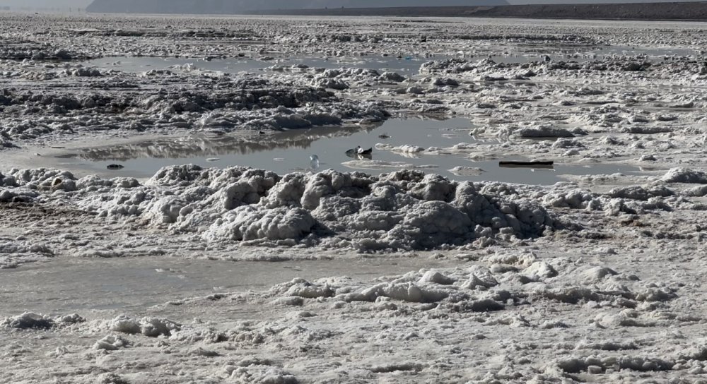 Yüksekovalı gençler kurumaya yüz tutan Urmiye Gölü’nde yürüdüler