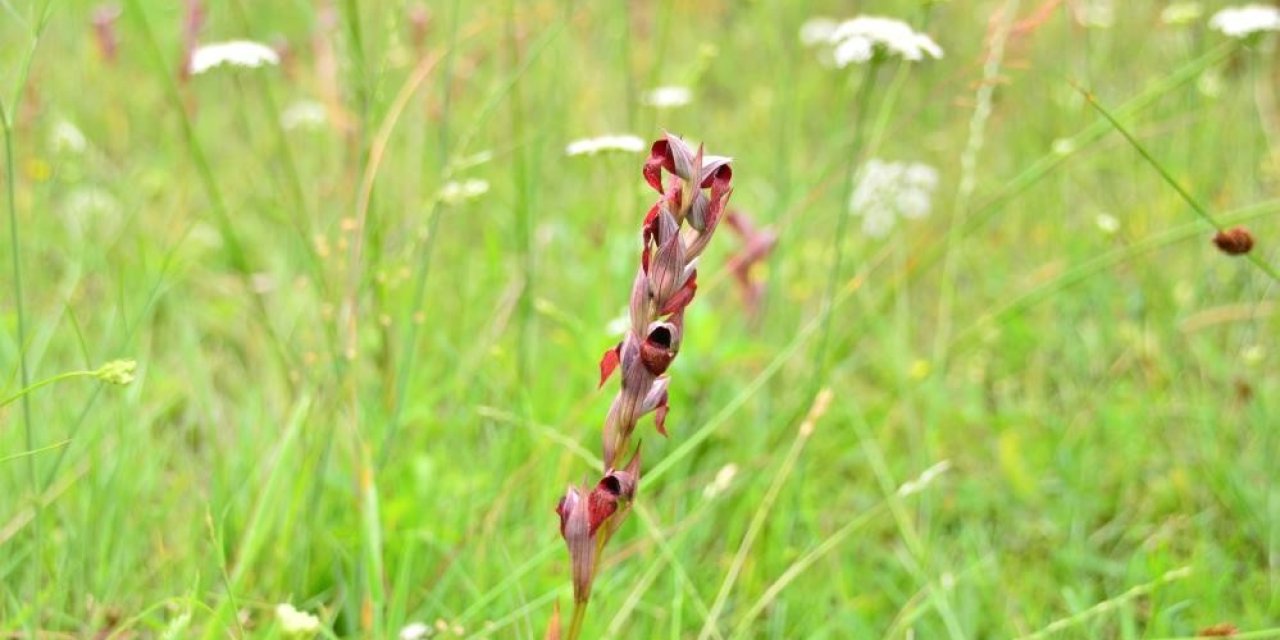 aw084228-04.jpg