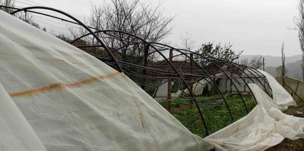 Hasar çok büyük. Hasat tehlikeye girdi. Sebze kıtlığı yaşanabilir